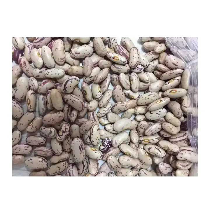 Kidney beans — bulk export from Tanzania