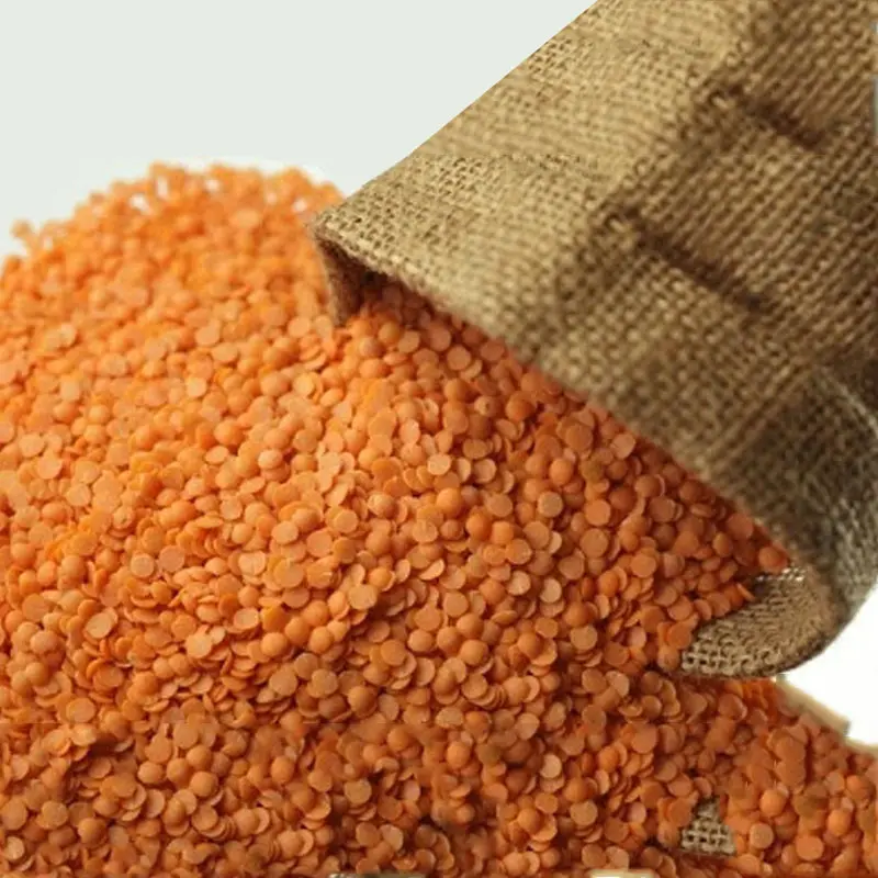Pulses & Legumes — bulk export from Tanzania