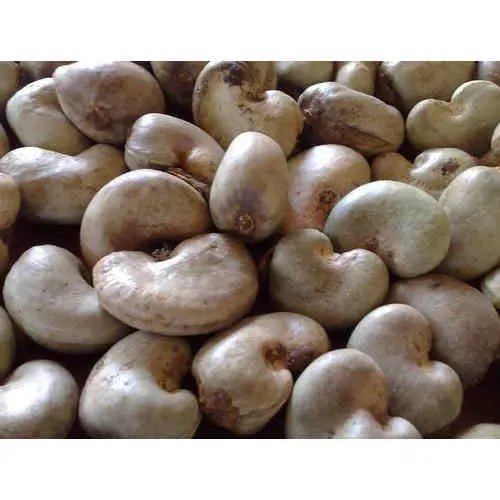 Raw cashew nuts