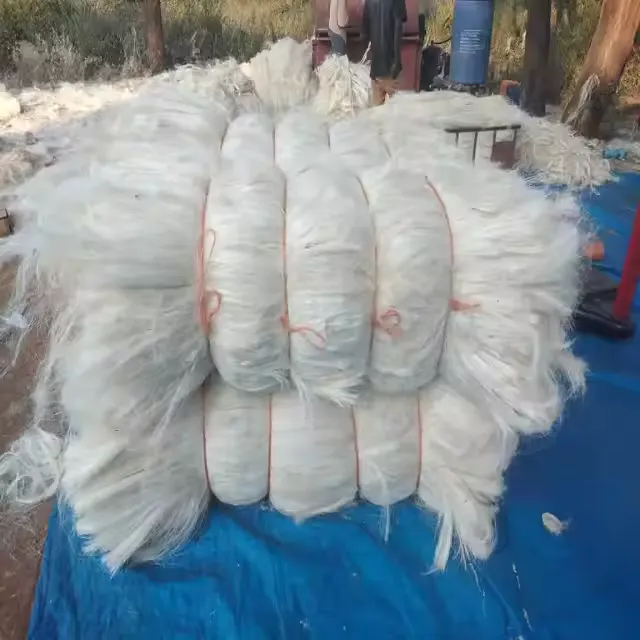 Sisal fibre SSUG grade — Tanzania export