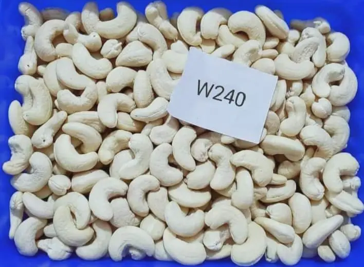 Nuts — bulk export from Tanzania